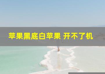 苹果黑底白苹果 开不了机